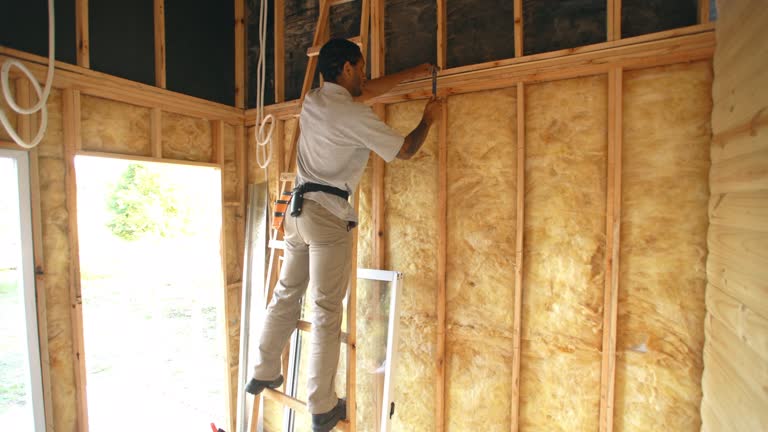 Best Fireproof Insulation  in Bloomington, TX